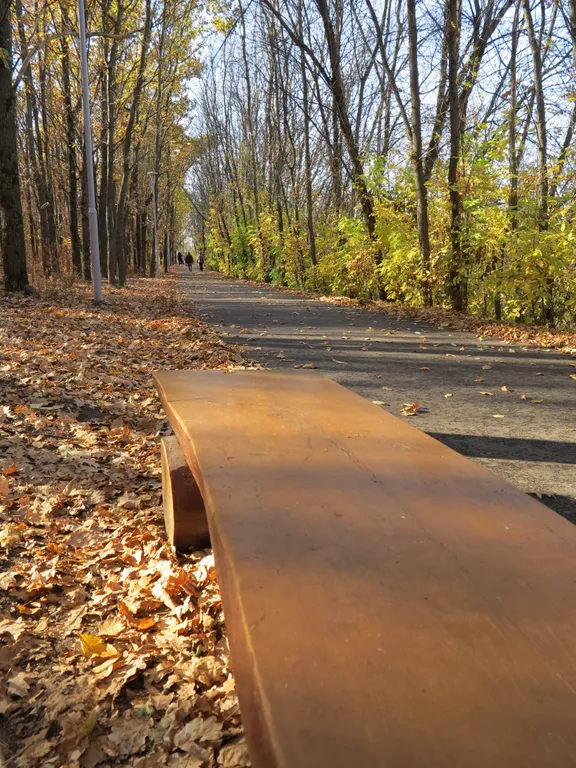 Однокомнатная крупногабаритная квартира в парковой зоне