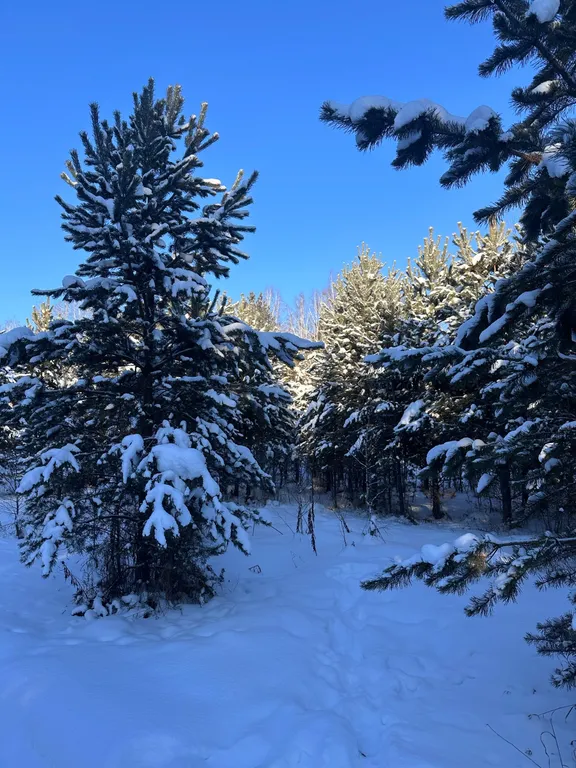 Солнечная Долина