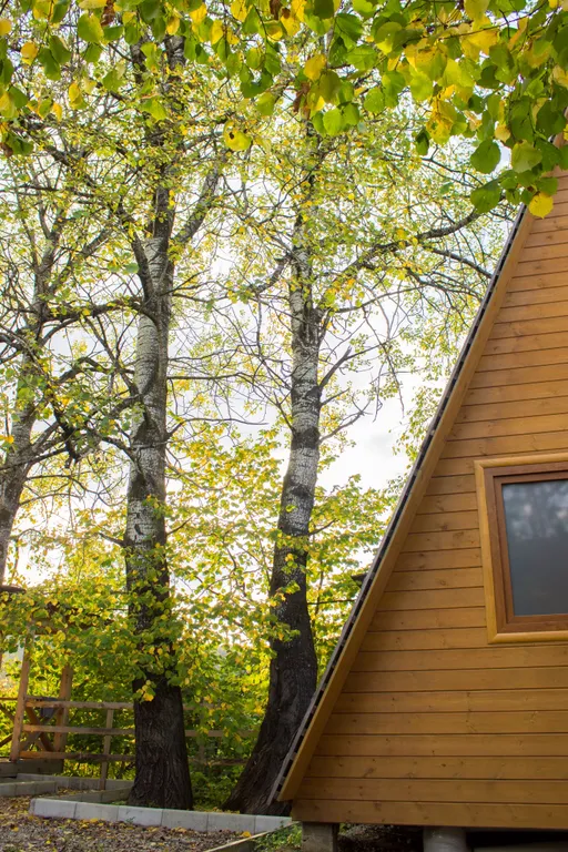 Гостевой дом Теремки у реки