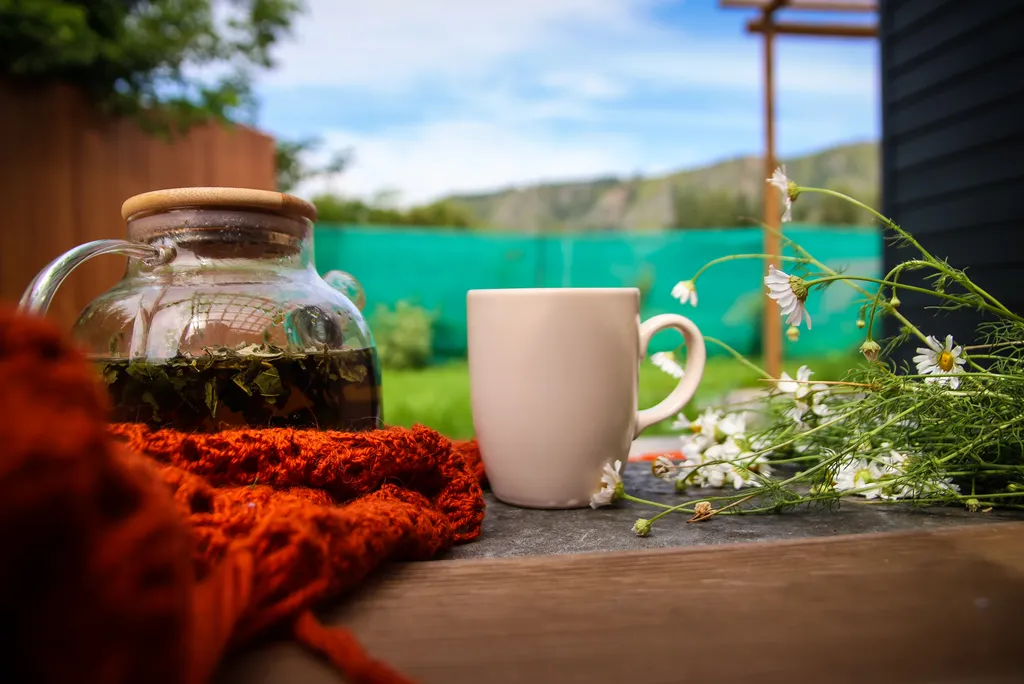 Уютный дом с видом на горы