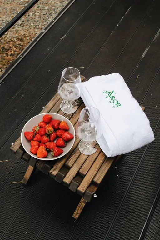 Дом хвоя светлый