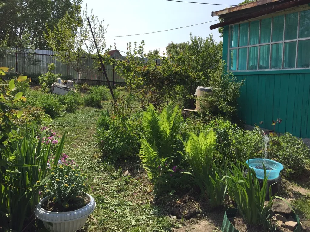 Дача бюджетная