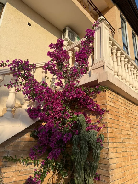 Квартира Квартира Апартамент Марион — Адлер