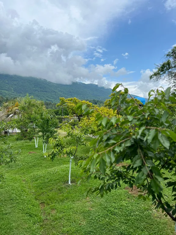 Коттедж Уютный домик с приусадебным участком — Гагра