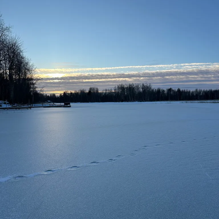 Коттедж Дом на Вуоксе — Беличье