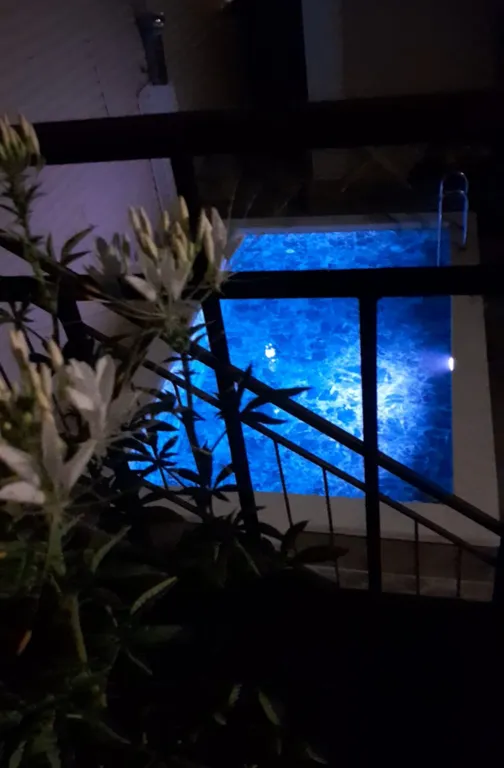 Квартира Квартира Четырёхместный номер комфорт — Витязево