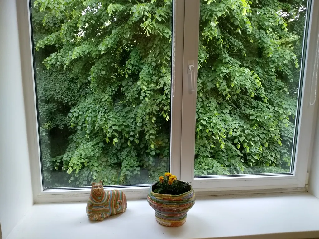 Квартира Атмосферная квартира — Пионерский