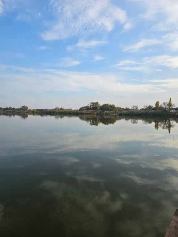 Шале Мишкин домик