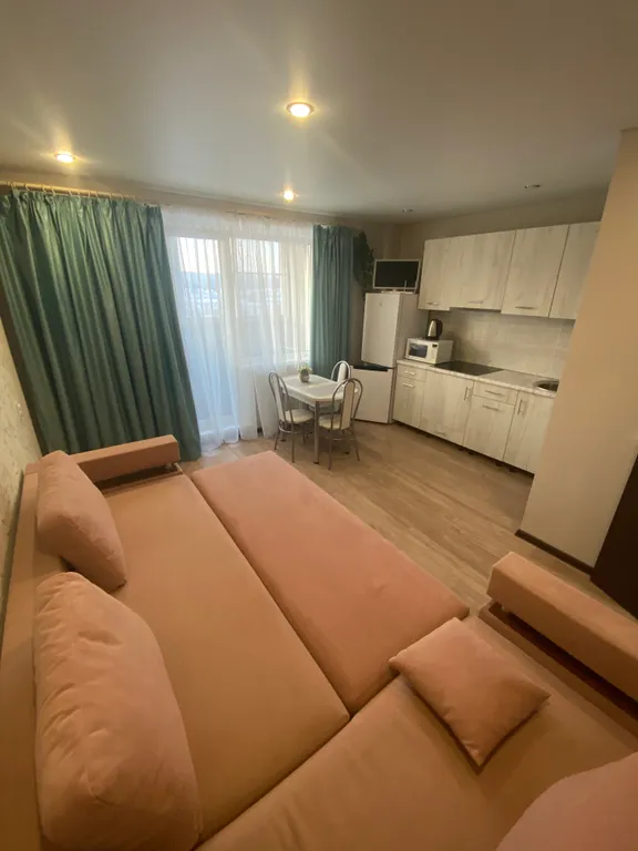 Уютная квартира-студия в живописной части города — аренда посуточно в Миасс