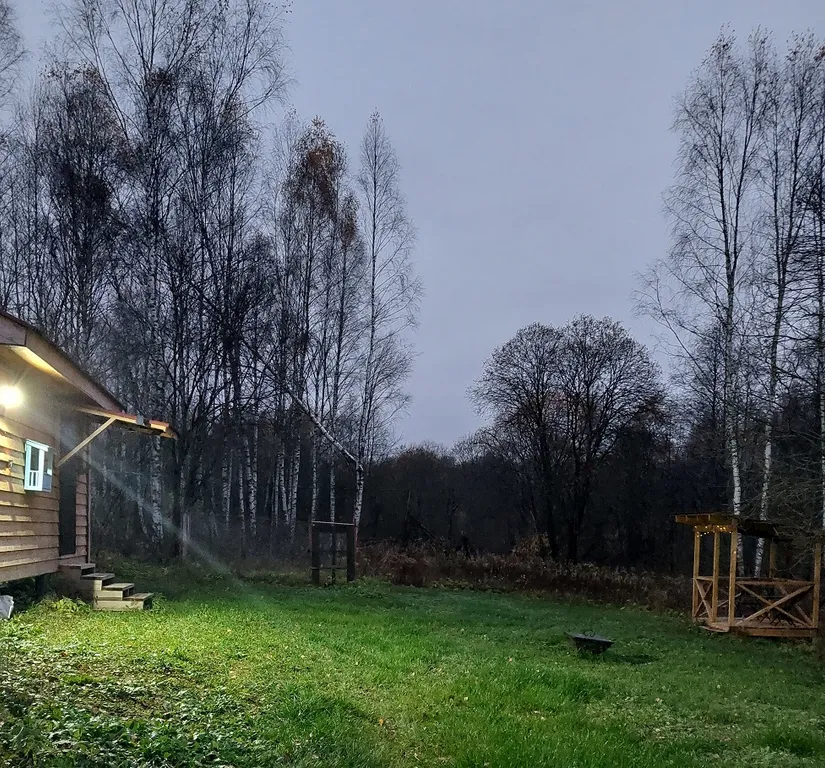 Уютный домик в заповедном лесу