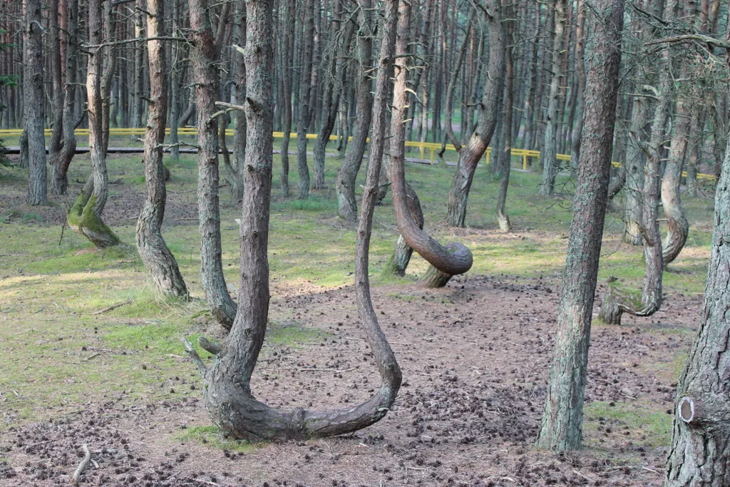 Уютная квартира у моря