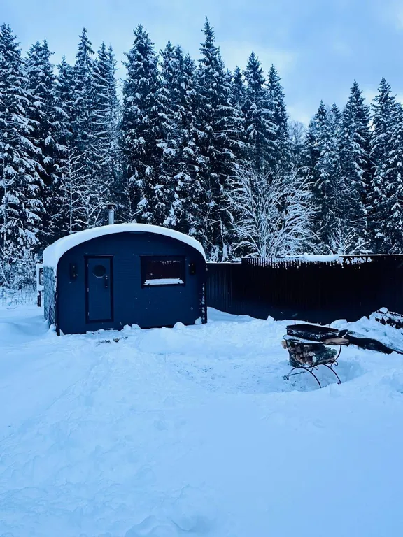 Лесная история