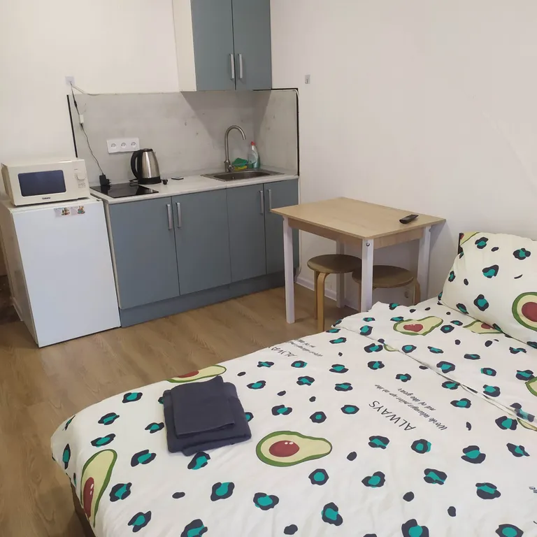 Уютная квартира-студия