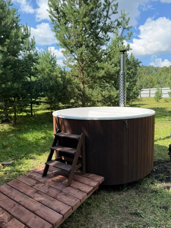 Шале посреди молодого сосново-березового леса