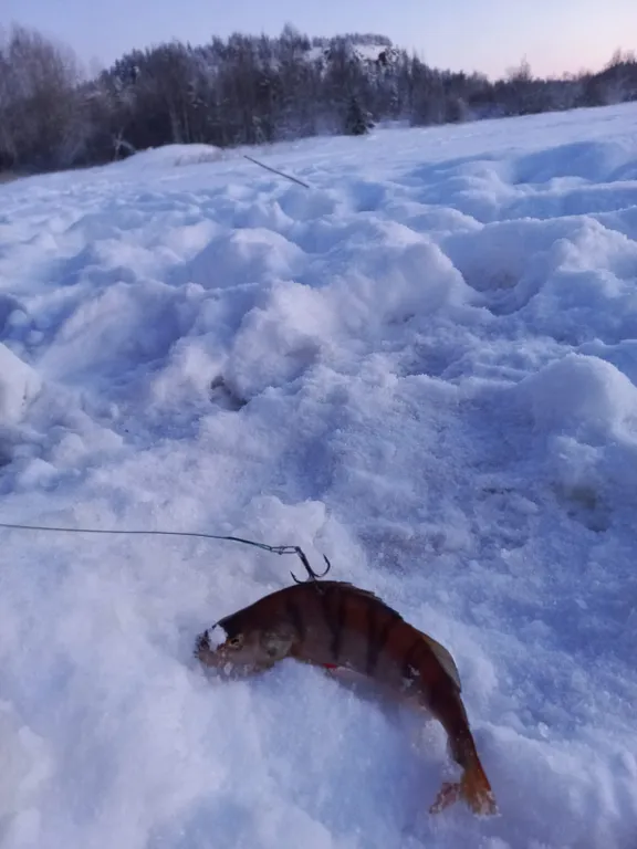 Небольшой дом на острове