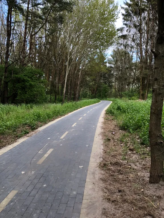 Коттедж Уютный дом у моря — Зеленоградск