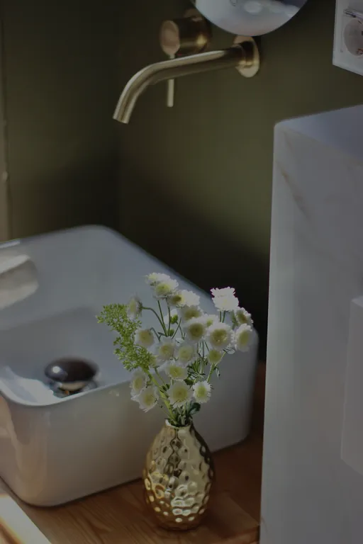 Дом-студия с купелью и домашним кинотеатром