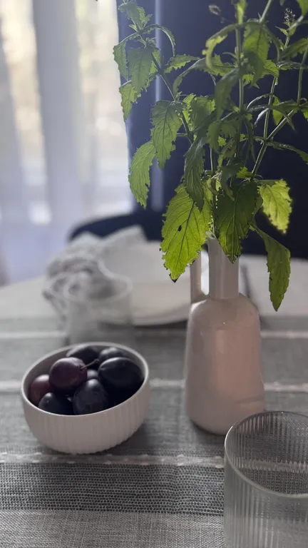 Вид на горы