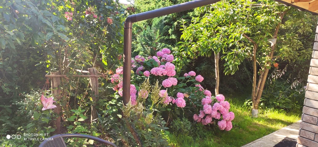 Светлая и просторная студия в чудесном саду для отдыха под шум моря