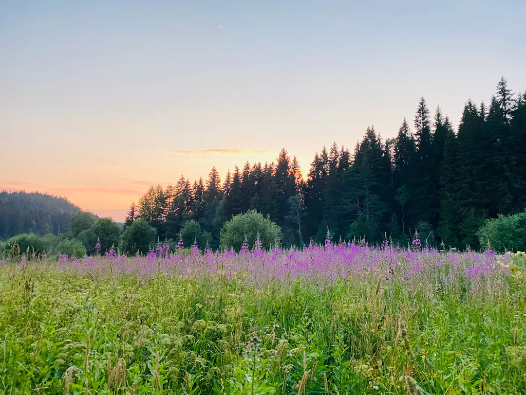 Дом Брусника у Ладоги
