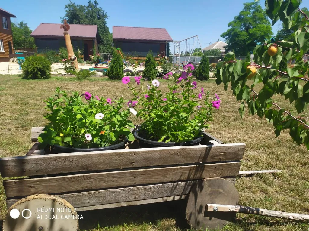 Море у дачи