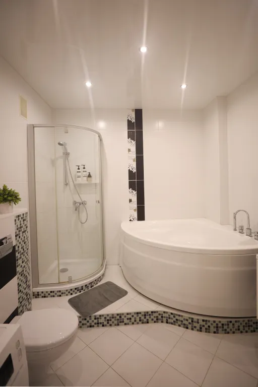 Уютная просторная однокомнатная квартира в живописной части города