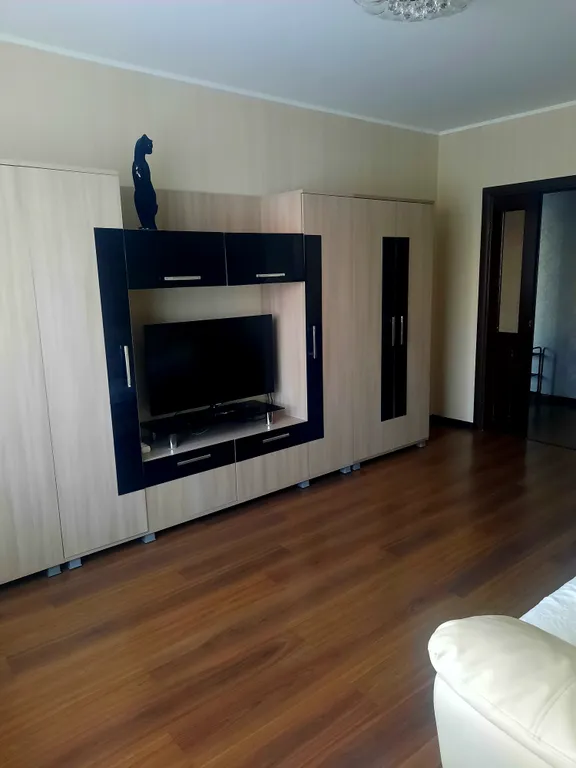 Большая уютная квартира