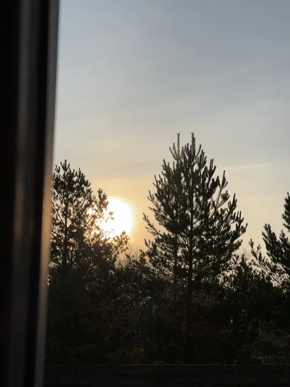 Дом с видом на лес