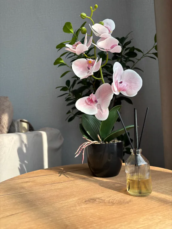 Благоустроенная квартира в многоквартирном доме