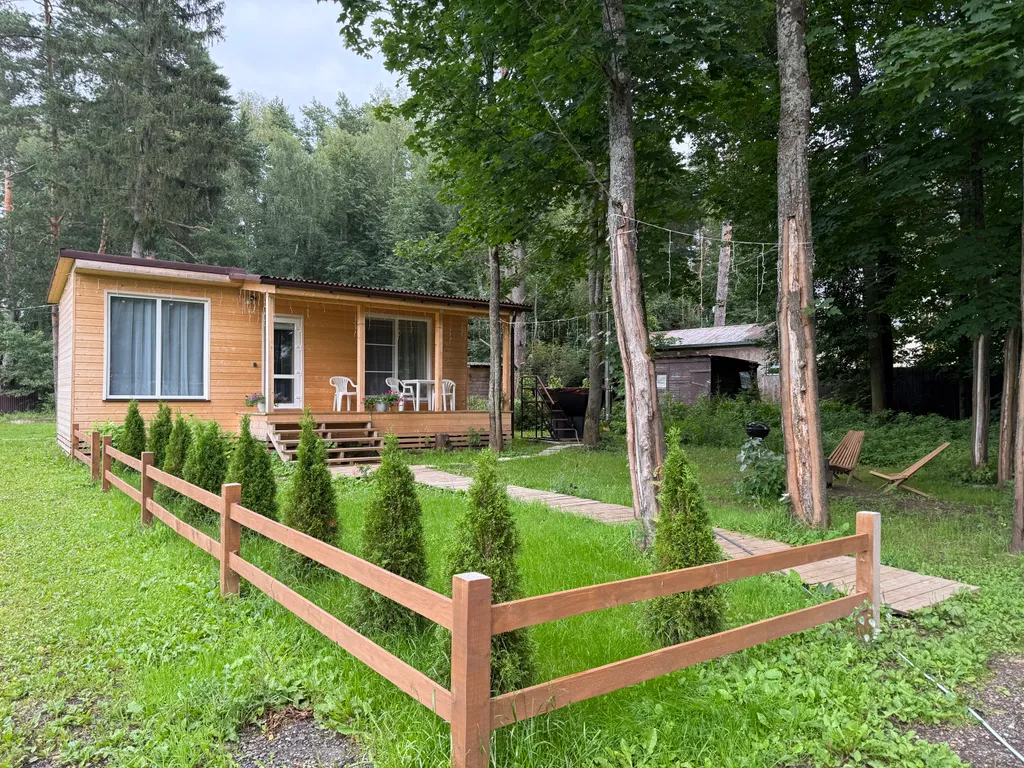 Дом в сосновом лесу