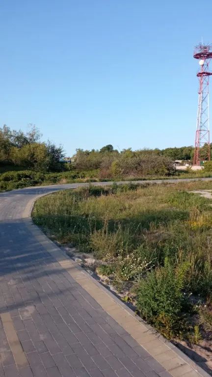 Домик Серфера