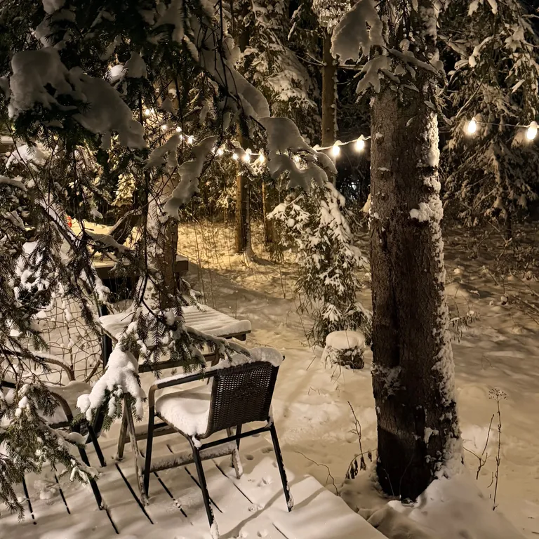 Коттедж Забудьте о городе, ваш лесной дом для тихого отдыха ждет вас — Истра