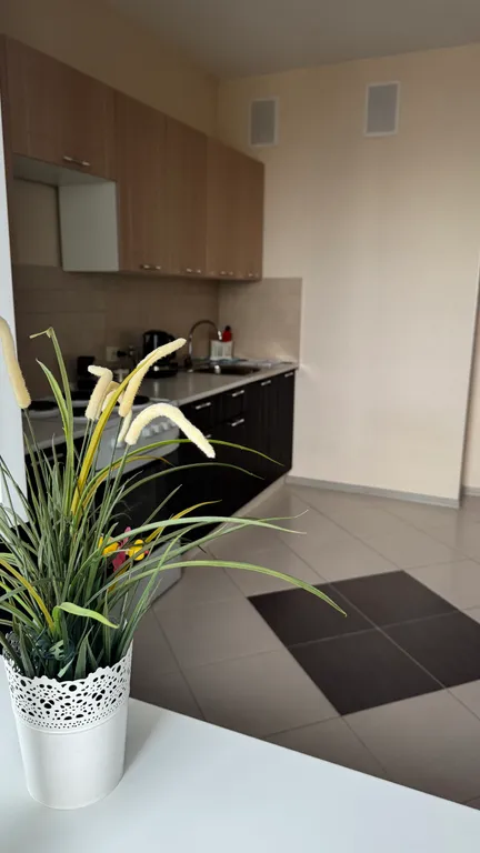 Квартира в центре города