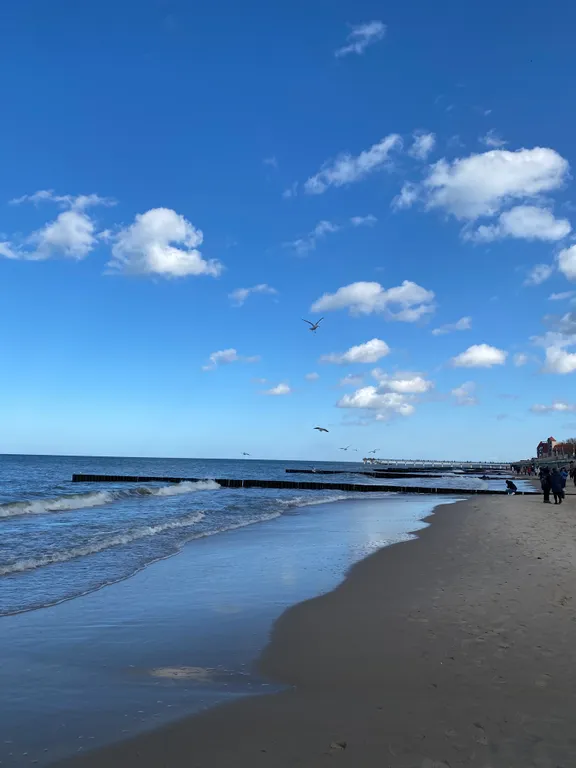 Уютная квартира у моря