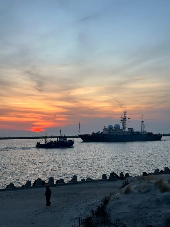 Квартира с пандой