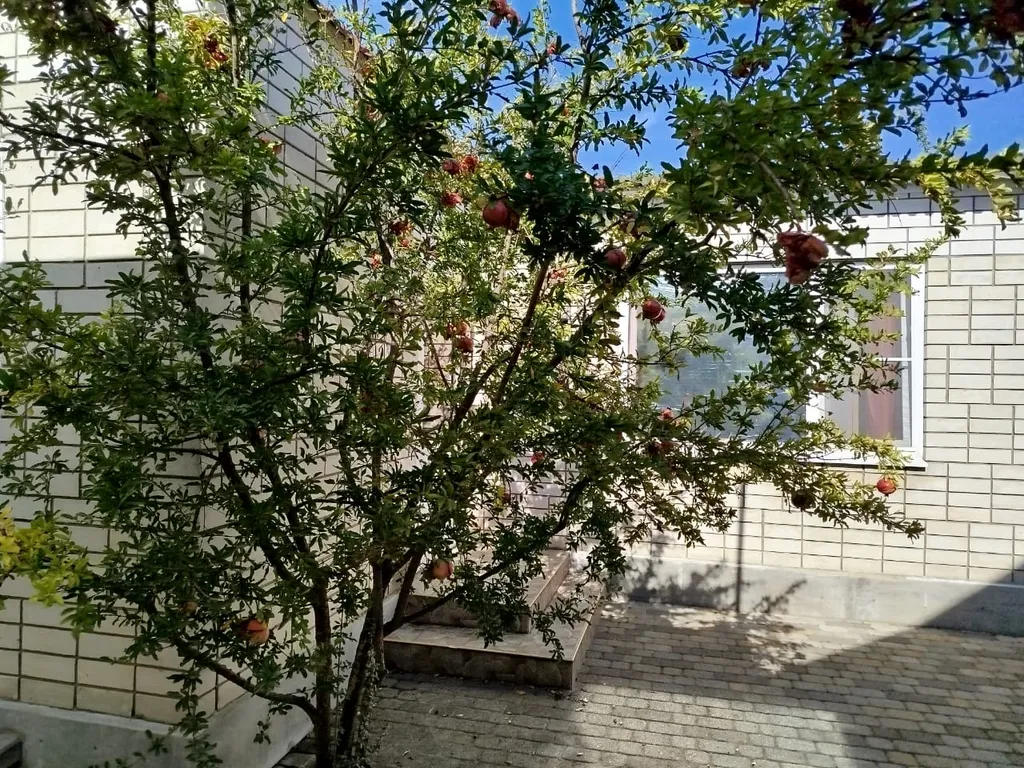 Квартира Комната — Голубицкая