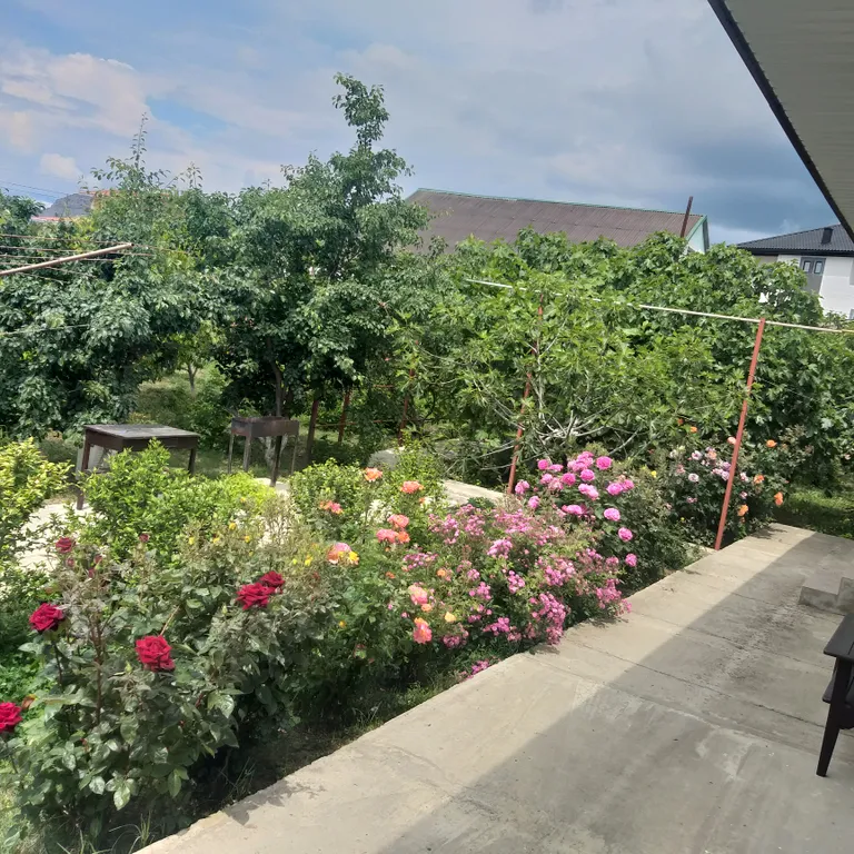 Коттедж 1-комнатный Дом — Солнечная Долина