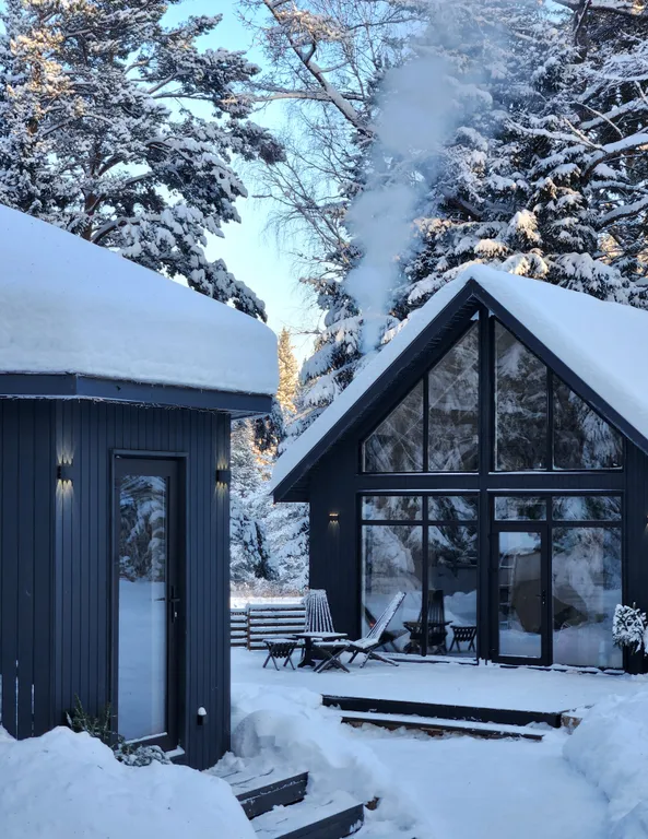 Дом в лесу с панорамным видом