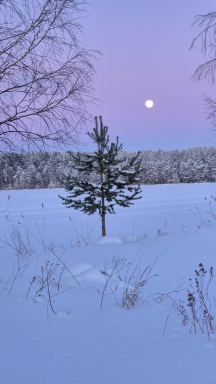 Коттедж Уютнейший дом с роскошным видом на озеро и пляжем.Карелия совсем рядом — Ларионово