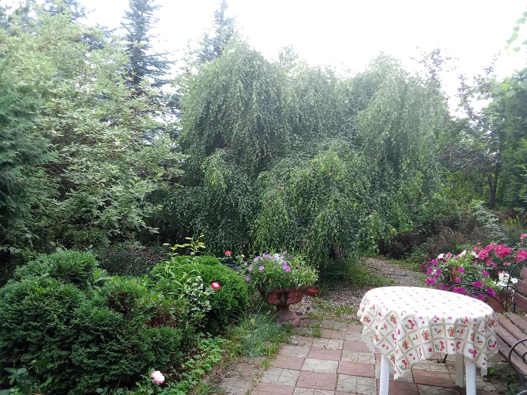 Дом с баней