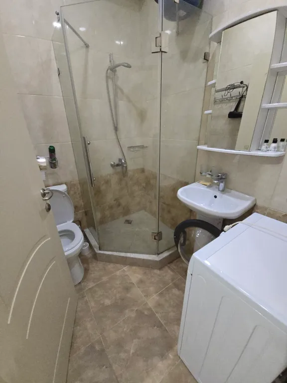 Квартира Уютная 1-комнатная квартира с отдельной кухней — Сириус