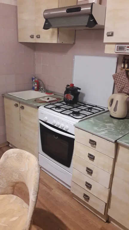 Уютная квартира с видом на Космопарк