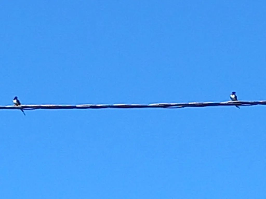 Уютный домик посуточно в тихом месте на Рыбинке