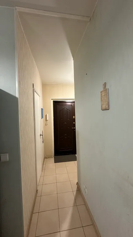 Простая однушка с видом на лес