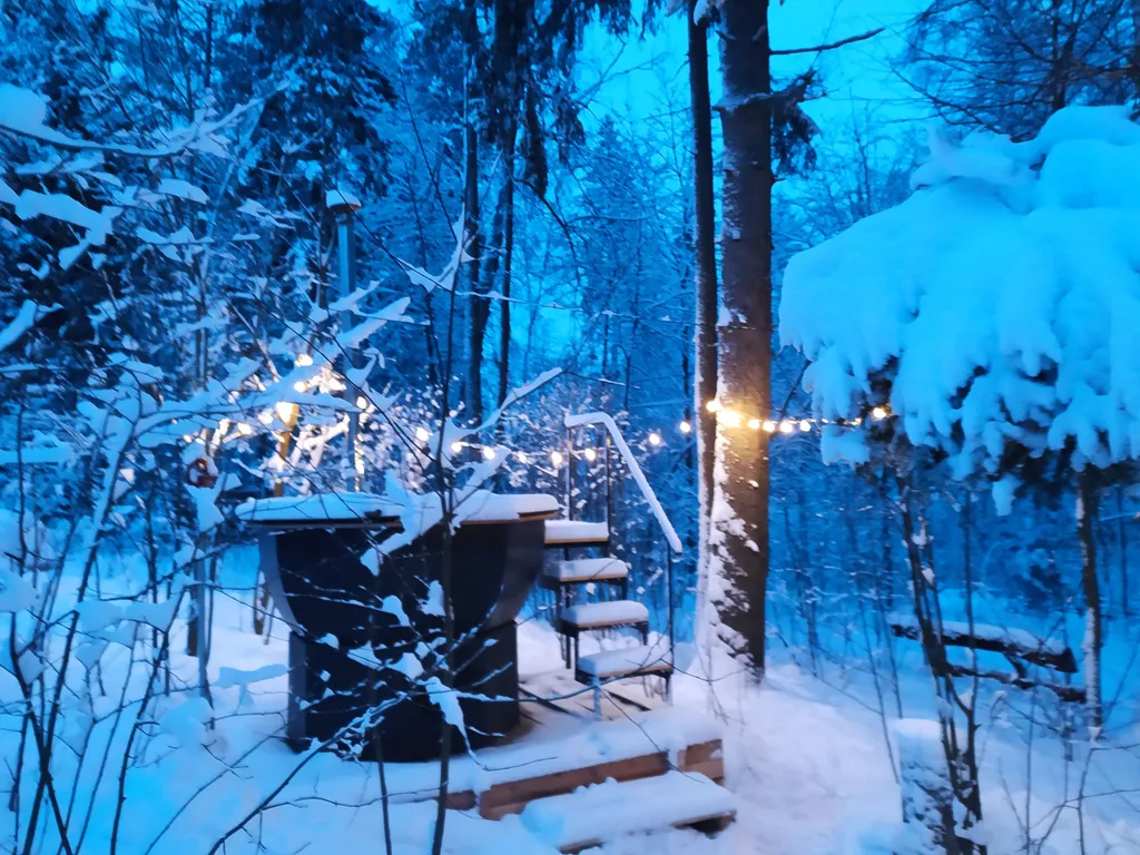 Лесной домик a-frame с террасой на холме, среди высоченных елей и берез