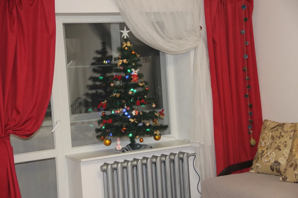 Уютная студия в центре города