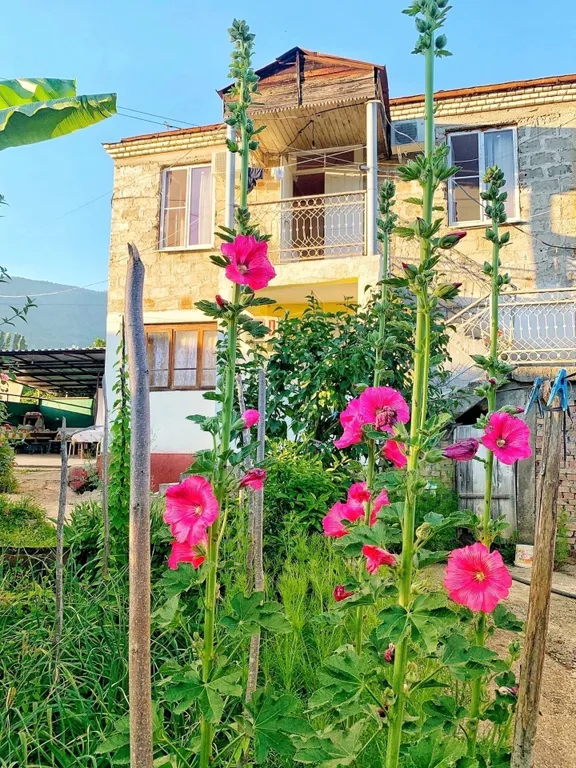 Квартира Комната — аренда посуточно в Псырцха