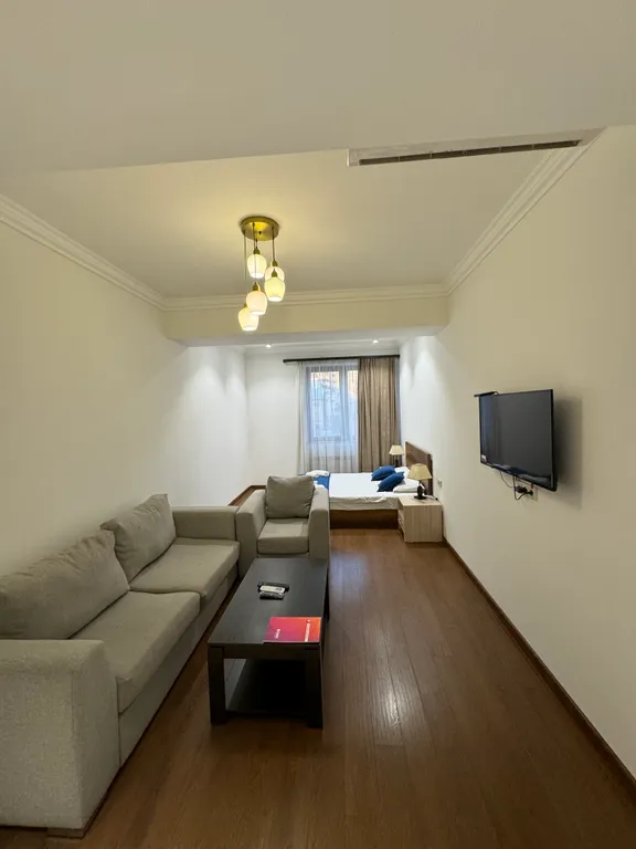 Квартира Удобный апартамент в центре города — аренда посуточно в Ереван