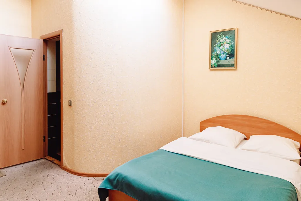 Двухместный номер с 1 кроватью на мансарде