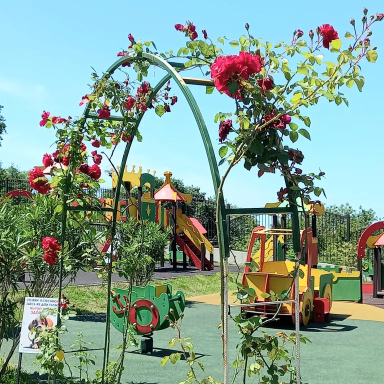 Уютная студия с видом на море